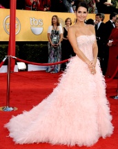 Angie Harmon: She definately left a lasting impression in this pink feathered Monique Lhullier. {Photo: Steve Granitz/WireImage.com}